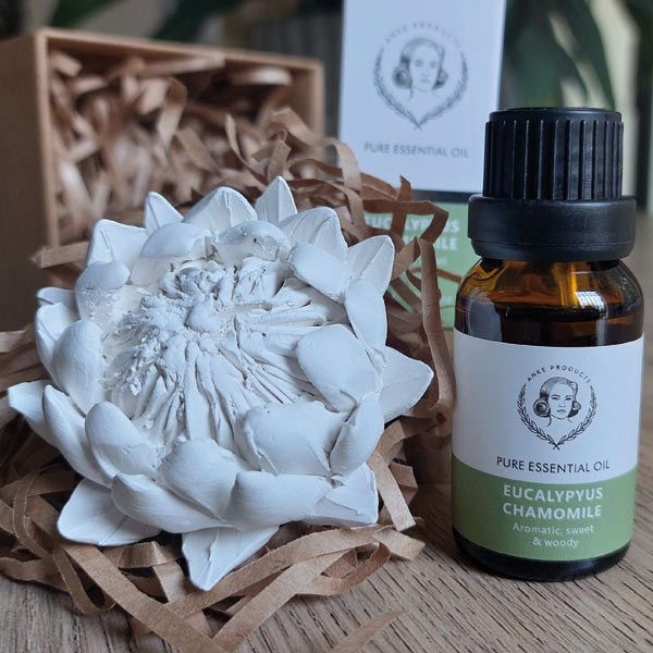 ECommerce design and development